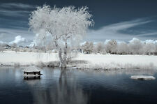 Nikon D90 Infrared converted 720nm Digital IR infrared Camera.Standard infrared