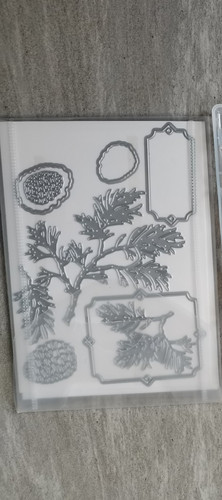 Stampin dies jolies - stampin,