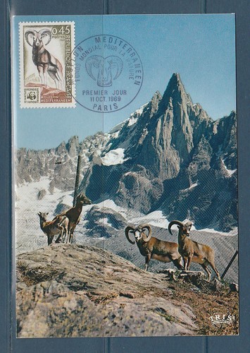 Carte 1er jour nature faune - ,