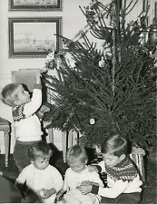 At the foot of the tree, 1960 Vintage silver print 18x24 Circ silver print