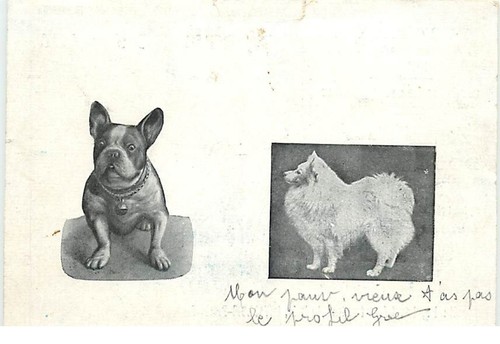 Dog palace french bulldog - palace,