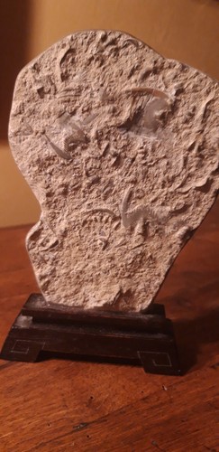 Fossiles chinois chine pierre - fossiles,