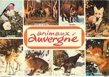 Animaux - Auvergne - Multivues