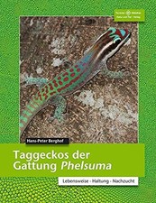 Hans-Peter Berg Taggeckos der
