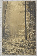 Old postcard "Ligue des Amis de la Forêt de SOIGNES