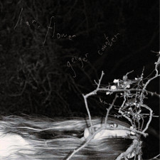 Liar, Flower Geiger Counter