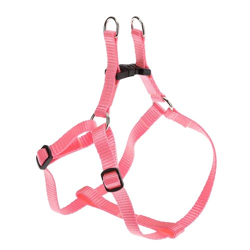 Harnais chien petite taille - chien,
