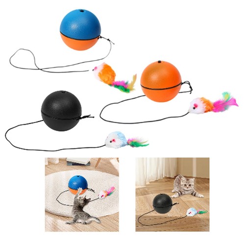 Jouet interactif pour - , chat