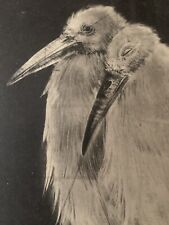 Tableau ancien estampe Art