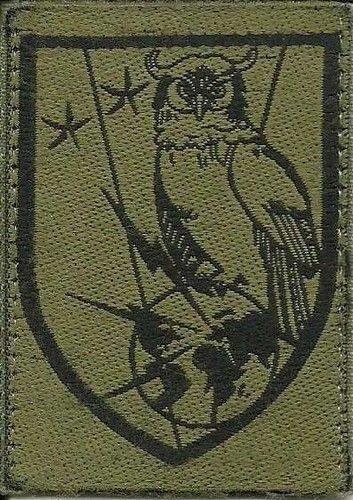 Insigne tissu patch militaire - insigne, tissu,