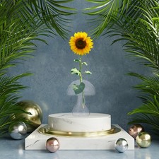  Vase À Bonsaï Clair Pot De Fleur Terrarium Table En Verre Hydroponique