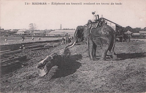 Carte postale ancienne