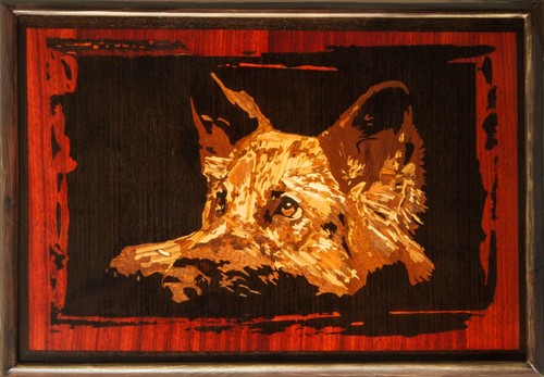 Berger chien mur photo animal