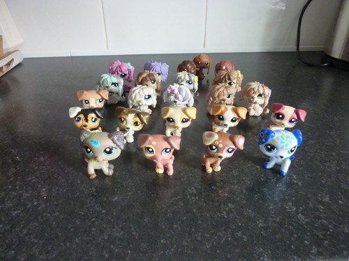 Lot petshop jack russel - petshop,