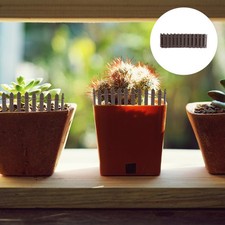 100 Cm Petit Piquet En Bois