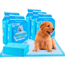 Alaise pour Chien, Alese