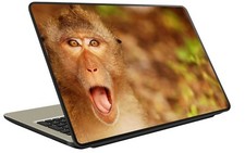 MAC SKIN MONKEY OP032 Monkey