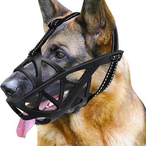 Muselière pour chien - pour,