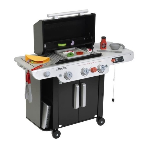 Grand barbecue weber genesis - barbecue,
