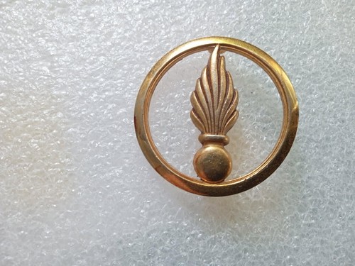 Ancien insigne beret - insigne, de