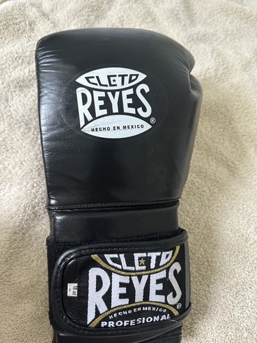 Cleto reyes training boxing - reyes,