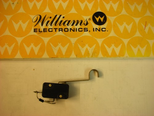Flipper williams lame - flipper, williams: