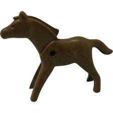 sympa poulain / cheval  1ere