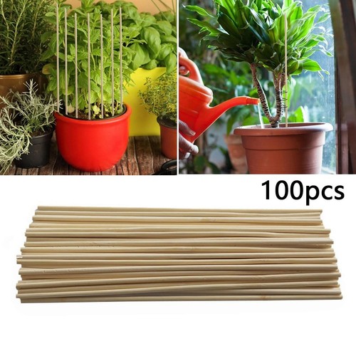 100pcs piquets treillis pour - 100pcs,