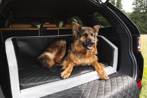 Lit chien coffre voiture - chien,