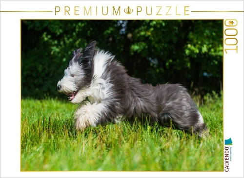 Calvendo puzzle bearded - calvendo, collie