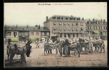 Old postcard Berck-Plage, les anes à l'entunnoir 