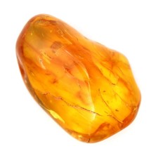 Galet poli d'Ambre jaune –