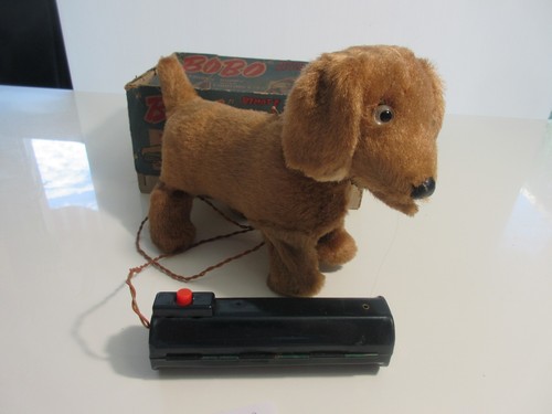 Bobo chien frisky puppy - chien,