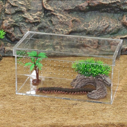 Arylic reptile amphibian - arylic,