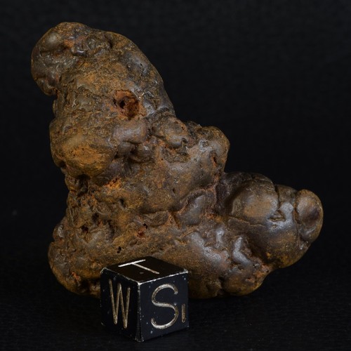 Fossile coprolithe dinosaure - fossile,