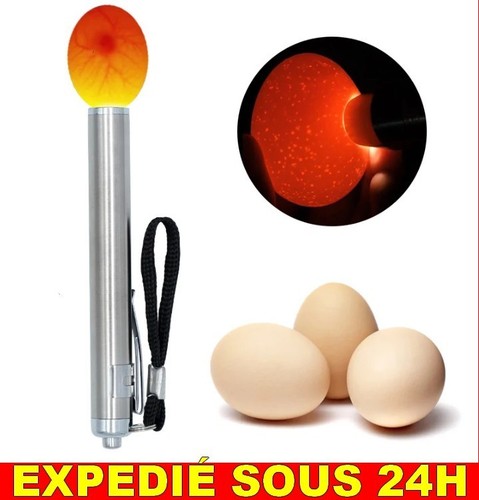 Lampe œufs oeuf - ✅,