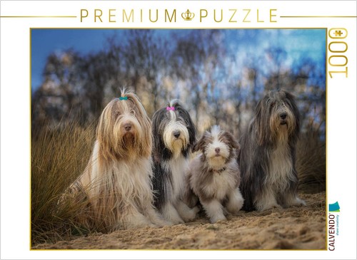 Calvendo puzzle bearded collie - calvendo,