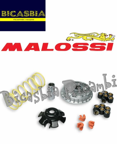 5594 variateur malossi - 5594,