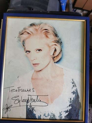 Sylvie vartan cadre photo - vartan,