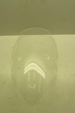 Bulle (Triumph - Tiger 1050