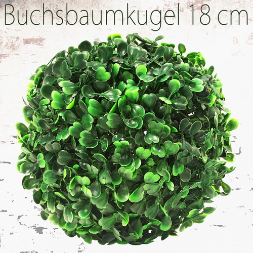 Buis boule - buis, plante