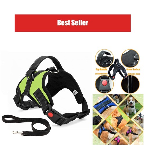 Harnais pour chien sans - harnais,
