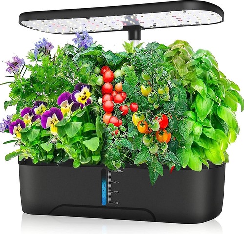 Jardin herbes aromatiques - jardin,