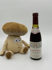 🌟 Demie Pommard Le Bas Des