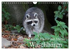 Le petit brigand masqué -