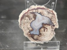 CRIS 49 N OLD STOCK DEMIE LITHOPHYSE POLIE  MASSIF DE L'ESTEREL VAR FRANCE 50G