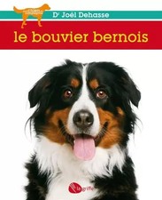 Le bouvier bernois NE, Joël