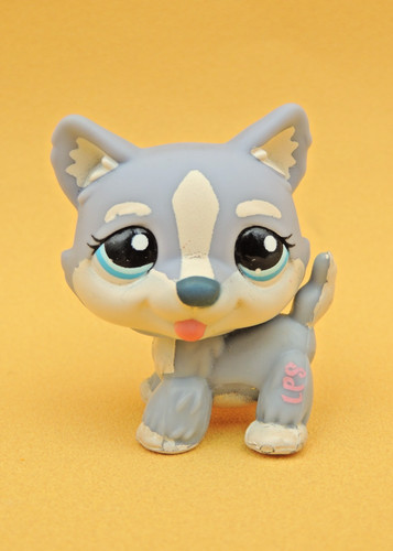 Lps littlest pet - shop, #1684
