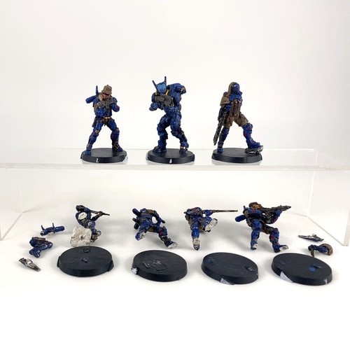 Kestrel colonial force - kestrel,