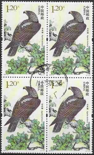 Timbres oiseaux rapaces - oiseaux, chine